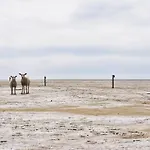 Moderne Kuestenbutze In Nordseenaehe Mildstedt