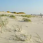 Moderne Kuestenbutze In Nordseenaehe 아파트 *