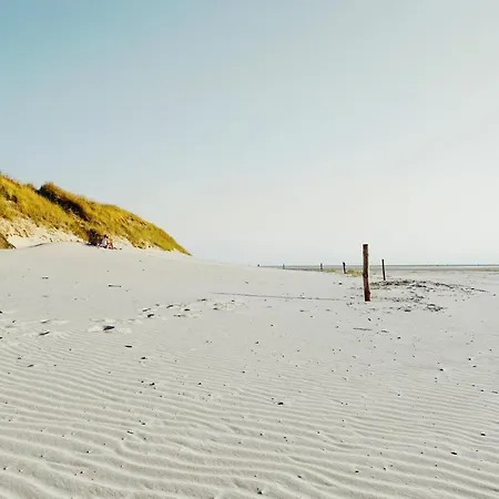 Moderne Kuestenbutze In Nordseenaehe *