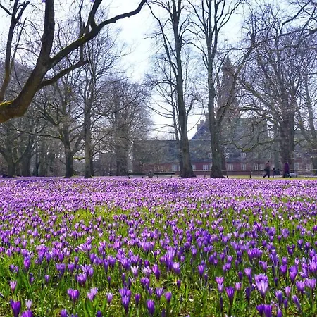 Moderne Kuestenbutze In Nordseenaehe Mildstedt