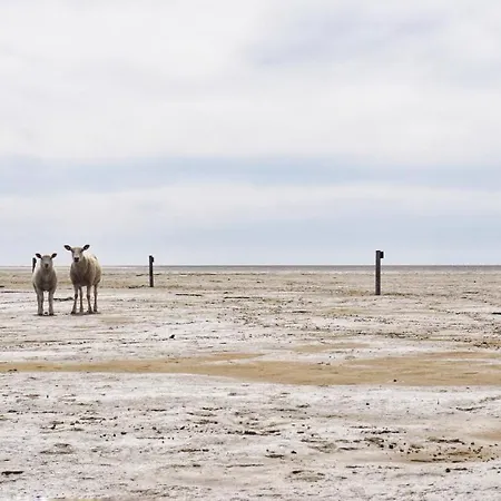 Moderne Kuestenbutze In Nordseenaehe Mildstedt