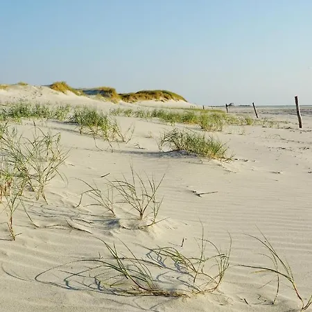 Moderne Kuestenbutze In Nordseenaehe شقة *