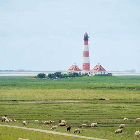 Moderne Kuestenbutze In Nordseenaehe * Mildstedt